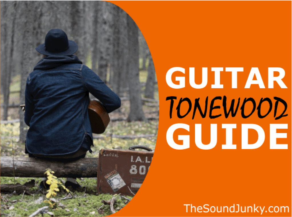 Guitar Tonewoods Guide Which Wood Is Best For Your Guitar?