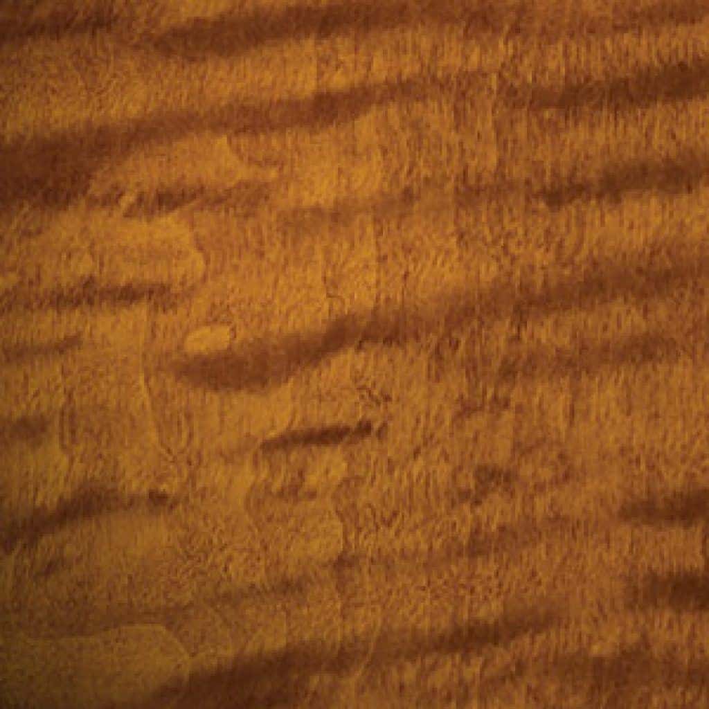 Guitar Tonewoods Guide Which Wood Is Best For Your Guitar?