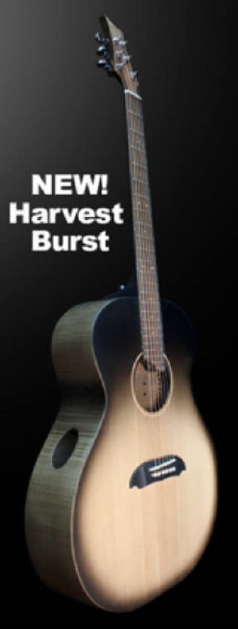 Riversong Soulstice HB Review Acoustic Guitar With Adjustable Neck