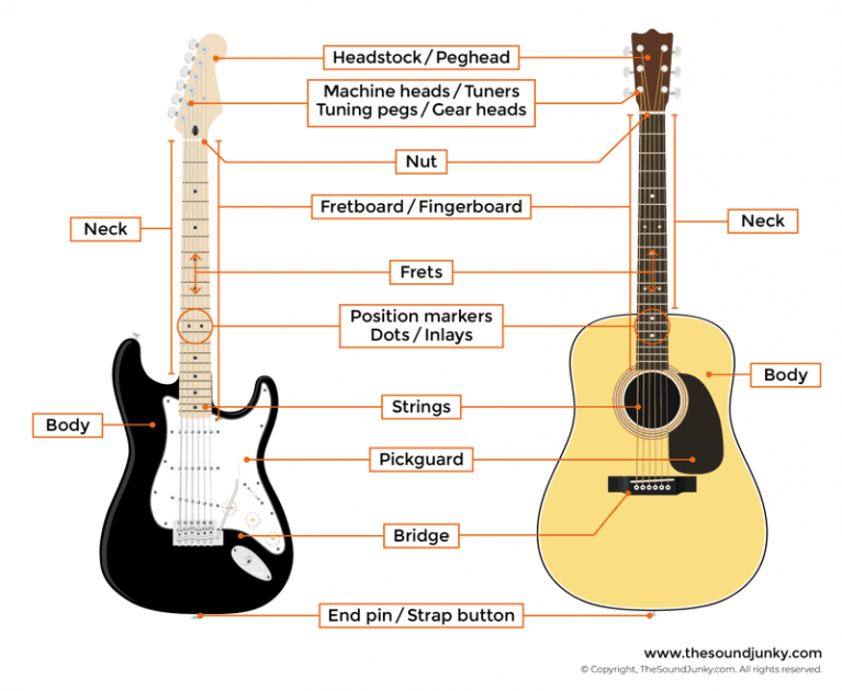 Parts of a Guitar Including String Labels, Fret Numbering & More!