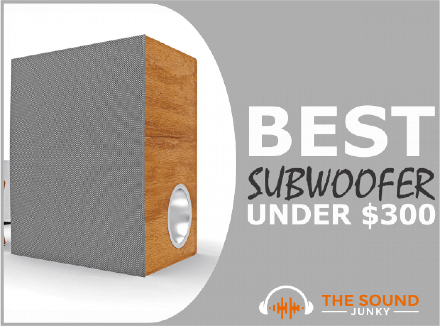 6 Best Subwoofers Under 300 In 2022 (Car & Home Theater Options)
