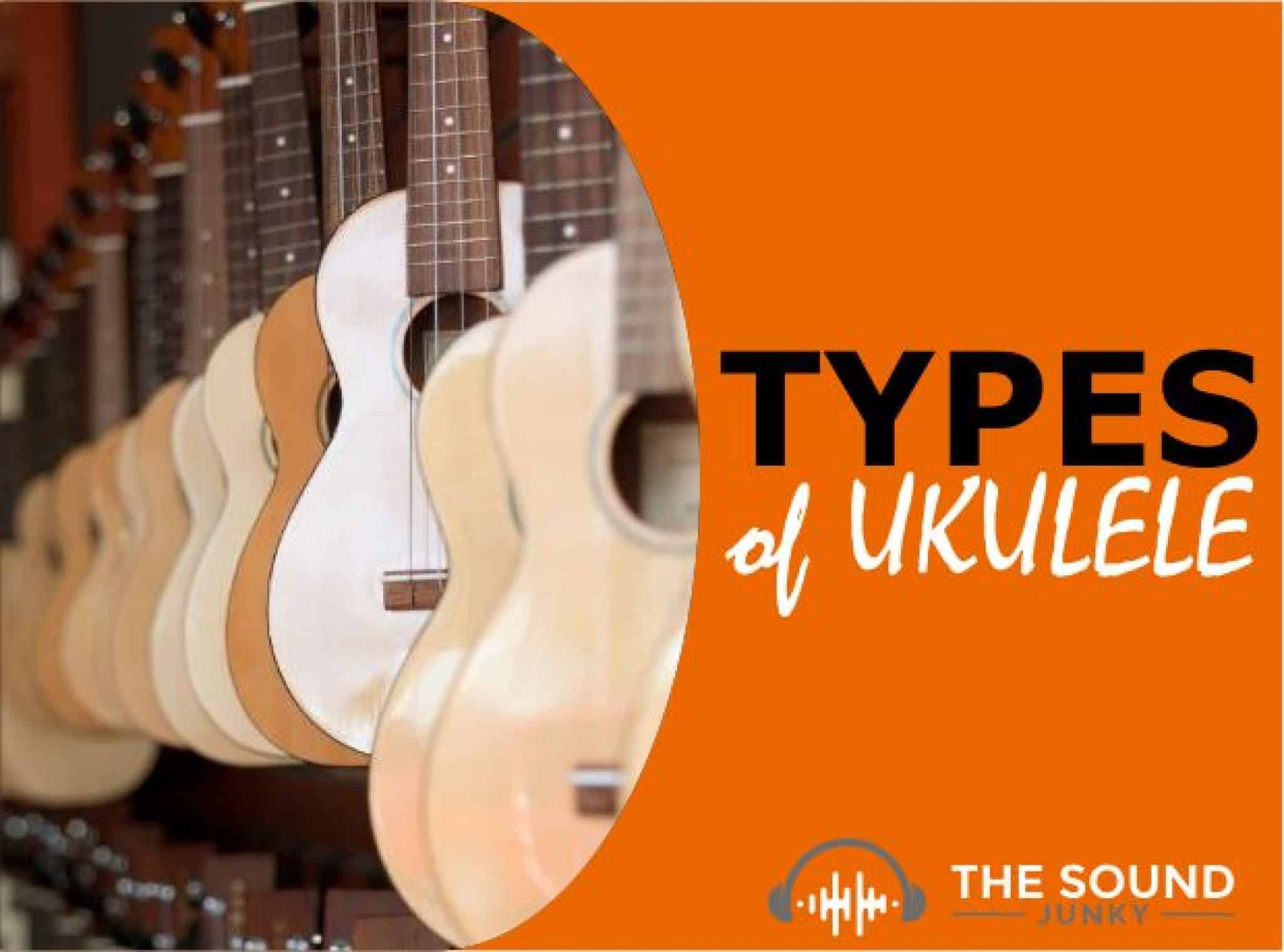 10 Different Types Of Ukuleles & Their Uses (Incl. Videos)