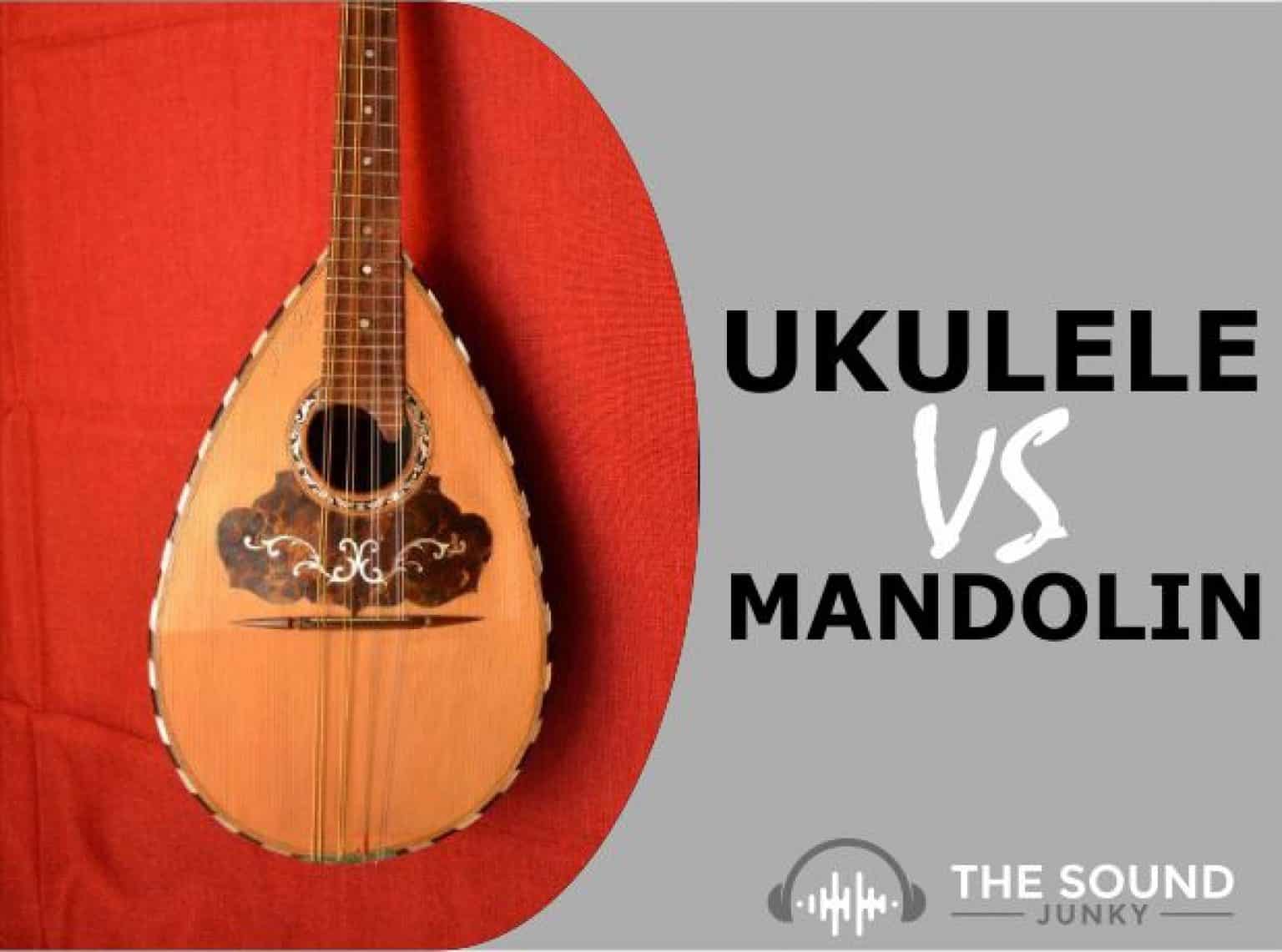 Ukulele vs Mandolin Difference Which Should You Learn?